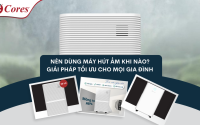 Nên Dùng Máy Hút Ẩm Khi Nào? Giải Pháp Tối Ưu Cho Mọi Gia Đình