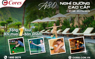 Chương Trình A80 Cores Việt Nam